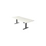 Sitz-Steh-Schreibtisch Move 4, elektrisch höhenverstellbar, 64-129cm (H), 250x100cm