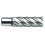 PROJAHN Kernbohrer mit Weldonschaft 19 mm (3/4") HSS Vollschliff