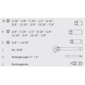 Coffret de douilles industrielles PROJAHN en pouces 6 pans 10 / 3/8" 25 pièces