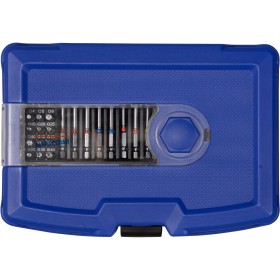 Boîte de bits universelle PROJAHN COLOR avec tournevis à cliquet de 6,3 / 1/4" 25 mm + 38 mm + 75 mm 60 pièces