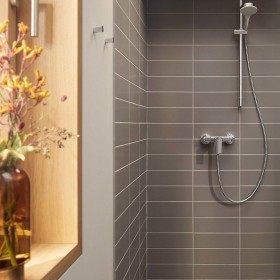 hansgrohe Rebris E Einhebel-Duscharmatur Aufputz