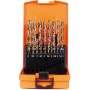 PROJAHN Spiralbohrer-Kassette HSS-Co DIN 338 HSS-Co DIN 338 ECO 19-tlg.