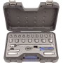 PROJAHN Industrie-Steckschlüsselkoffer metrisch 6-kant 10 / 3/8" 23-tlg.