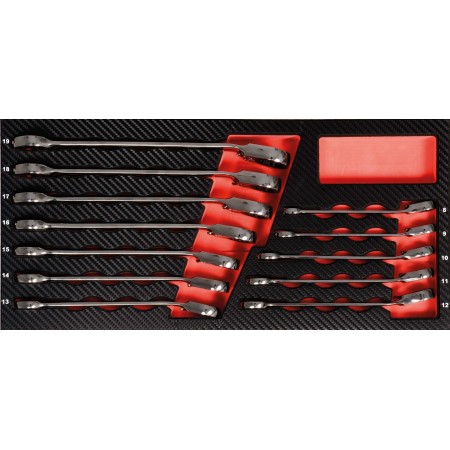 PROJAHN PROForm Einlagesystem GearTech Ratschenschlüssel umschaltbar 12-tlg.