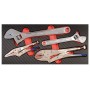 PROJAHN PROForm Einlagesystem Gripzangen und Rollgabelschlüssel 4-tlg.