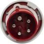 CEE-Stecker 63A (Starkstrom-Stecker 400V, 5-polig, Staub- und wasserdicht IP67)