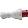 CEE-Stecker 63A (Starkstrom-Stecker 400V, 5-polig, Staub- und wasserdicht IP67)
