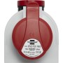 Kombi-Wandsteckdose IP44 (Steckdosen: Steckdosen: CEE 400V/16A und T25)