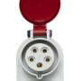 Kombi-Wandsteckdose IP44 (Steckdosen: CEE 400V/32A + T13 230V/10A)